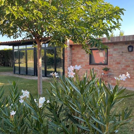Las Casitas Del Gallego Villanueva de Gállego Exterior foto